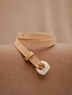 Mogliano